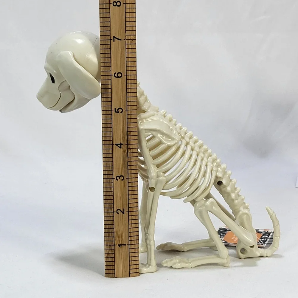 Halloween Puppy Dog Animal Skeleton 7.2